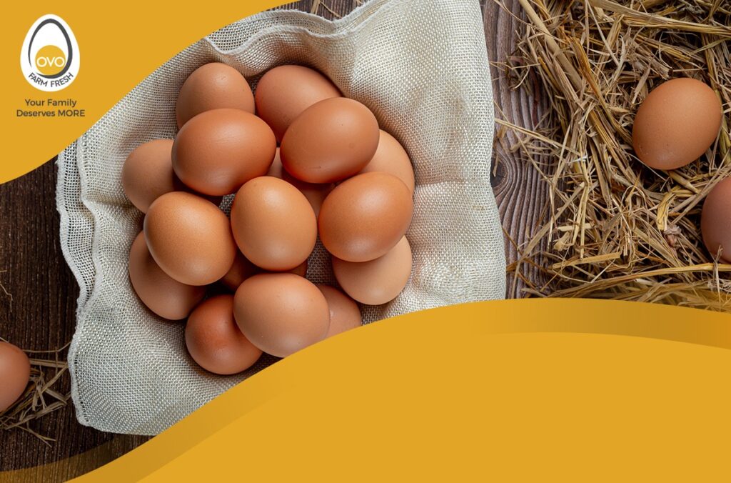 Eggs are considered to be nature’s most nutritious food. A rich source of protein and free of sugar and carbs, eggs are the best food to maintain good health.