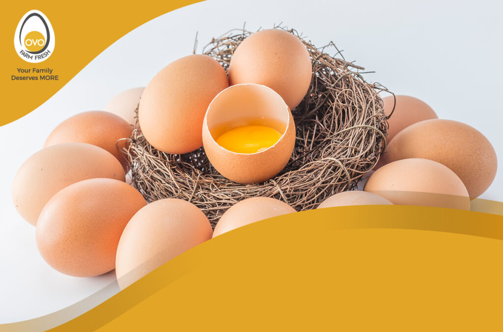 5 INTERESTING FACTS ABOUT EGGS